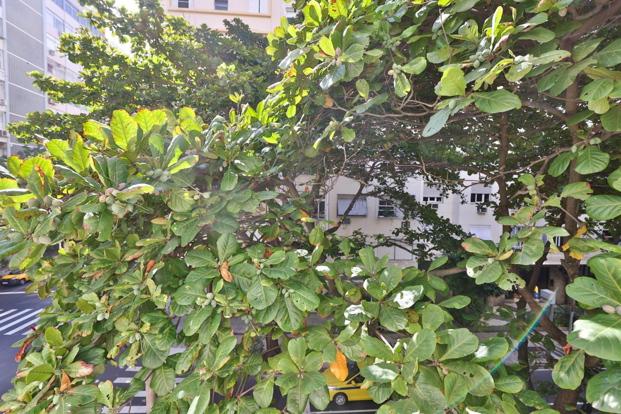 Apartamento 304 Apart Copa Ipanema Arpoador *